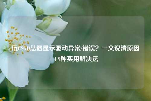 玩CSGO总遇显示驱动异常/错误？一文说清原因+9种实用解决法