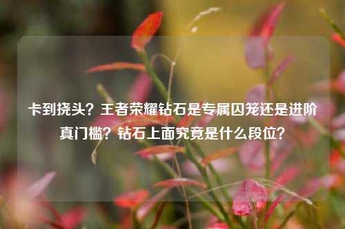 卡到挠头？王者荣耀钻石是专属囚笼还是进阶真门槛？钻石上面究竟是什么段位？