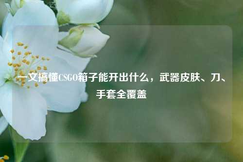 一文搞懂CSGO箱子能开出什么,武器皮肤、刀、手套全覆盖