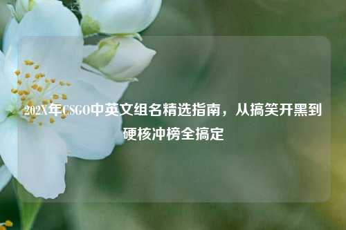 202X年CSGO中英文组名精选指南,从搞笑开黑到硬核冲榜全搞定