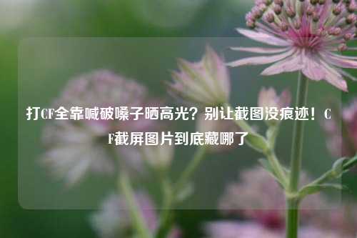 打CF全靠喊破嗓子晒高光？别让截图没痕迹！CF截屏图片到底藏哪了