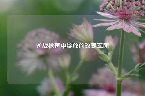 逆战枪声中绽放的玫瑰军团