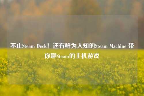 不止Steam Deck！还有鲜为人知的Steam Machine 带你聊Steam的主机游戏