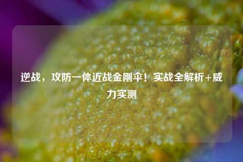 逆战，攻防一体近战金刚伞！实战全解析+威力实测