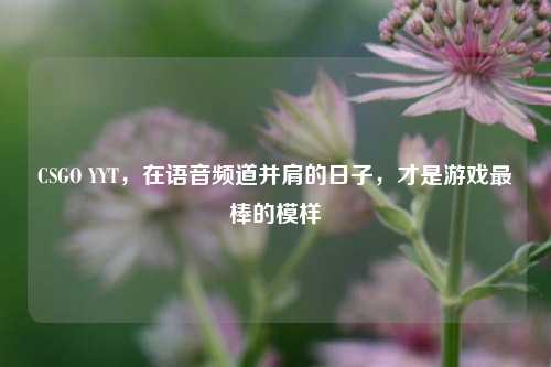 CSGO YYT,在语音频道并肩的日子,才是游戏最棒的模样