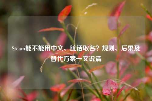 Steam能不能用中文、脏话取名？规则、后果及替代方案一文说清