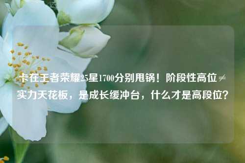 卡在王者荣耀25星1700分别甩锅!阶段性高位≠实力天花板,是成长缓冲台,什么才是高段位?
