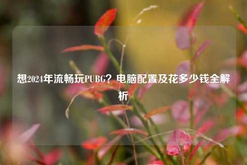 想2024年流畅玩PUBG?电脑配置及花多少钱全解析
