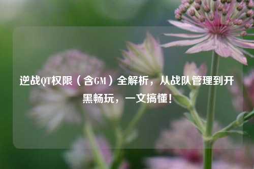 逆战QT权限(含GM)全解析,从战队管理到开黑畅玩,一文搞懂!