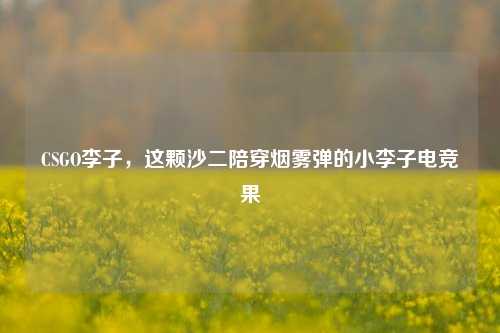 CSGO李子,这颗沙二陪穿烟雾弹的小李子电竞果