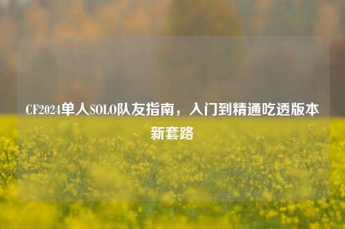CF2024单人SOLO队友指南,入门到精通吃透版本新套路