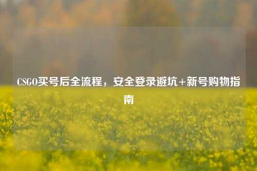 CSGO买号后全流程，安全登录避坑+新号购物指南