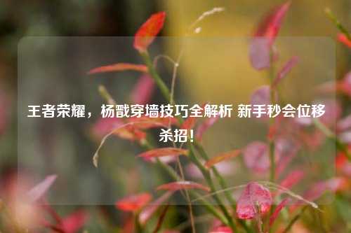 王者荣耀,杨戬穿墙技巧全解析 新手秒会位移杀招!