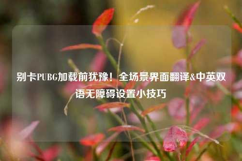 别卡PUBG加载前犹豫!全场景界面翻译&中英双语无障碍设置小技巧