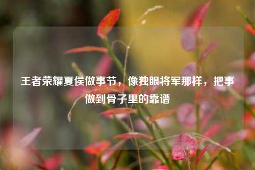 王者荣耀夏侯做事节，像独眼将军那样，把事做到骨子里的靠谱