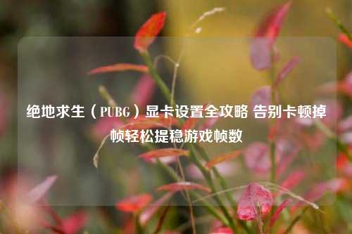 绝地求生(PUBG)显卡设置全攻略 告别卡顿掉帧轻松提稳游戏帧数