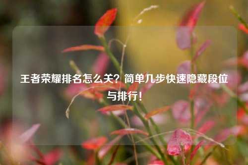 王者荣耀排名怎么关？简单几步快速隐藏段位与排行！