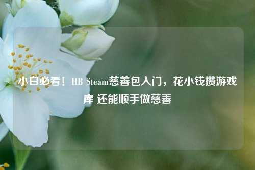 小白必看!HB Steam慈善包入门,花小钱攒游戏库 还能顺手做慈善