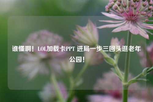 谁懂啊！LOL加载卡PPT 进局一步三回头逛老年公园！