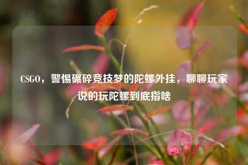 CSGO，警惕碾碎竞技梦的陀螺外挂，聊聊玩家说的玩陀螺到底指啥