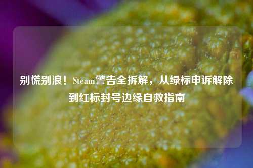 别慌别浪!Steam警告全拆解,从绿标申诉解除到红标封号边缘自救指南