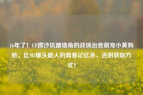 16年了!CF蹲沙坑蹭墙角的战场治愈萌宠小黄狗枪,比M4爆头戳人的青春记忆杀,还附获取方式!