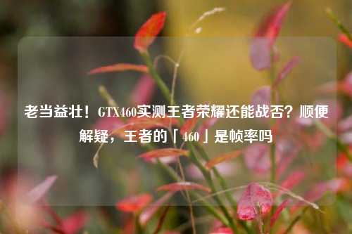 老当益壮！GTX460实测王者荣耀还能战否？顺便解疑，王者的「460」是帧率吗