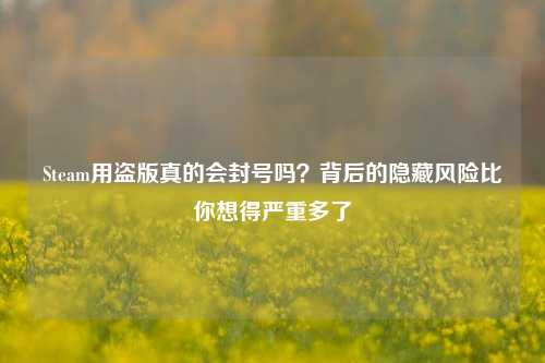 Steam用盗版真的会封号吗?背后的隐藏风险比你想得严重多了