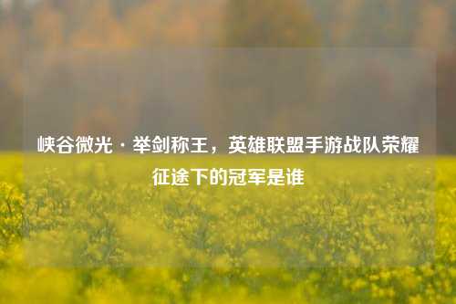 峡谷微光·举剑称王，英雄联盟手游战队荣耀征途下的冠军是谁