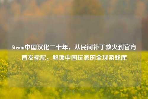 Steam中国汉化二十年,从民间补丁救火到官方首发标配,解锁中国玩家的全球游戏库