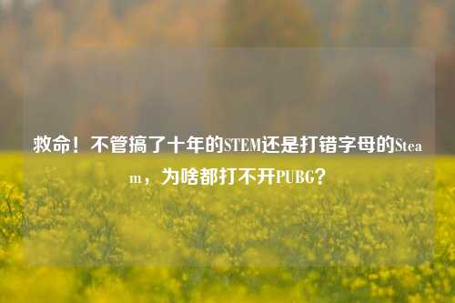救命！不管搞了十年的STEM还是打错字母的Steam，为啥都打不开PUBG？