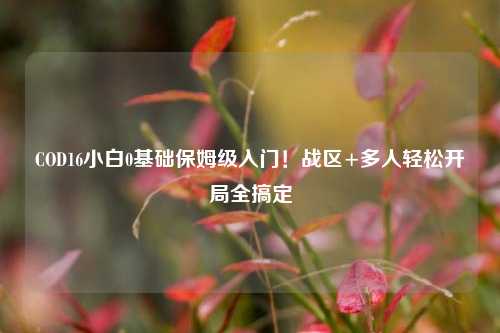 COD16小白0基础保姆级入门！战区+多人轻松开局全搞定