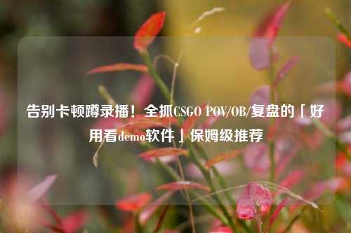 告别卡顿蹲录播!全抓CSGO POV/OB/复盘的「好用看demo软件」保姆级推荐