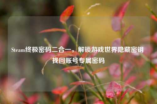 Steam终极密码二合一，解锁游戏世界隐藏密钥 找回账号专属密码