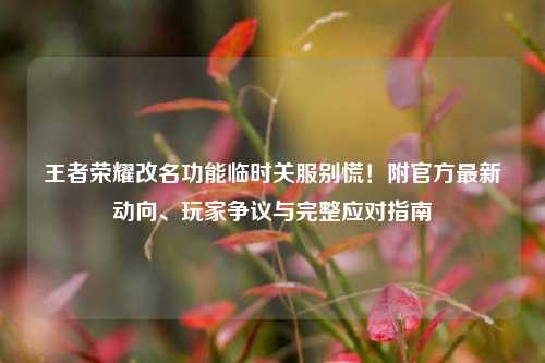 王者荣耀改名功能临时关服别慌!附官方最新动向、玩家争议与完整应对指南