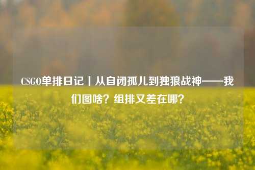CSGO单排日记丨从自闭孤儿到独狼战神——我们图啥？组排又差在哪？