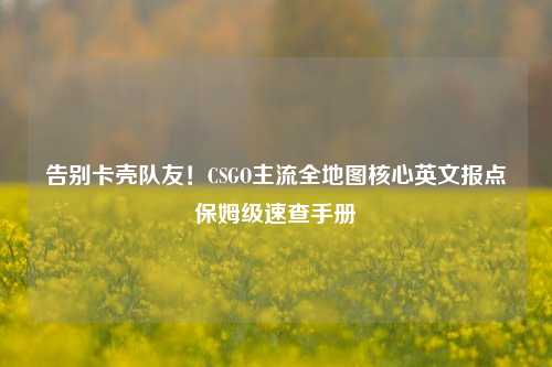 告别卡壳队友!CSGO主流全地图核心英文报点保姆级速查手册