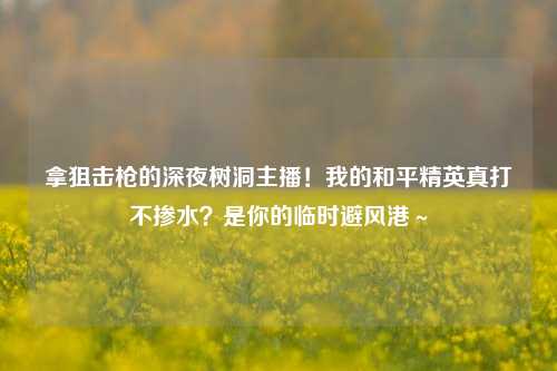 拿狙击枪的深夜树洞主播!我的和平精英真打不掺水?是你的临时避风港~