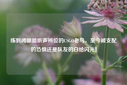 练到闭眼能听声辨位的CSGO老鸟，至今被支配的恐惧还是队友的白给闪光！