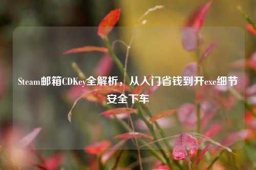 Steam邮箱CDKey全解析,从入门省钱到开exe细节安全下车