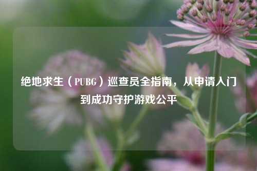 绝地求生(PUBG)巡查员全指南,从申请入门到成功守护游戏公平