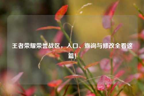 王者荣耀荣誉战区,入口、查询与修改全看这篇!