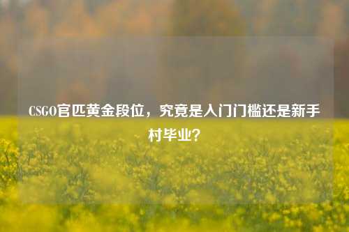 CSGO官匹黄金段位,究竟是入门门槛还是新手村毕业?