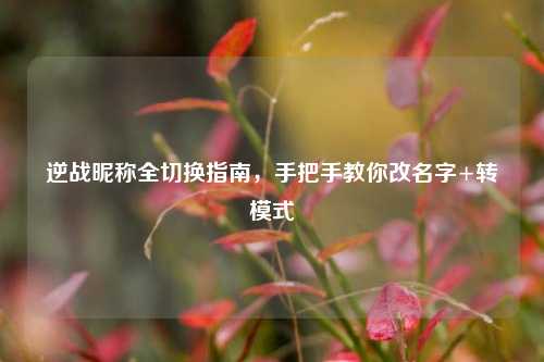 逆战昵称全切换指南，手把手教你改名字+转模式