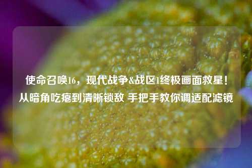 使命召唤16，现代战争&战区1终极画面救星！从暗角吃瘪到清晰锁敌 手把手教你调适配滤镜