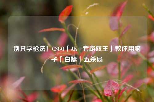 别只学枪法！CSGO「AK+套路双王」教你用脑子「白嫖」五杀局