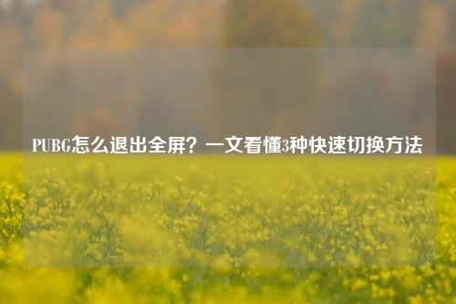 PUBG怎么退出全屏？一文看懂3种快速切换方法