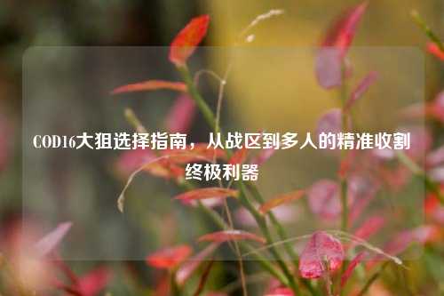COD16大狙选择指南,从战区到多人的精准收割终极利器