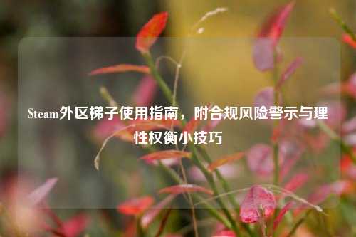 Steam外区梯子使用指南,附合规风险警示与理性权衡小技巧