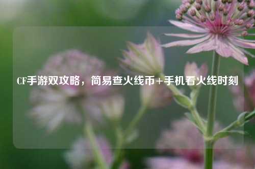 CF手游双攻略，简易查火线币+手机看火线时刻